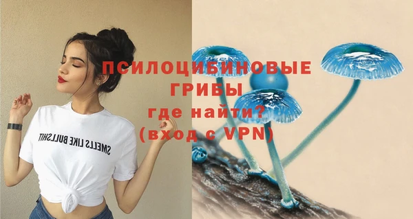 амф Алзамай