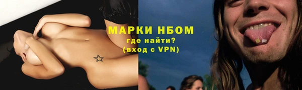 амф Алзамай