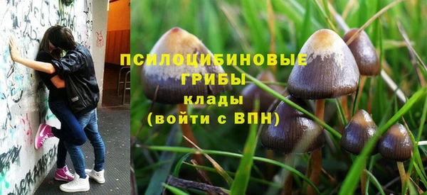 стаф Алексеевка